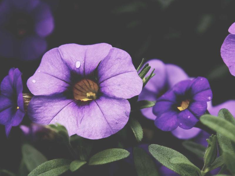 sudoku modern design screenshot 4