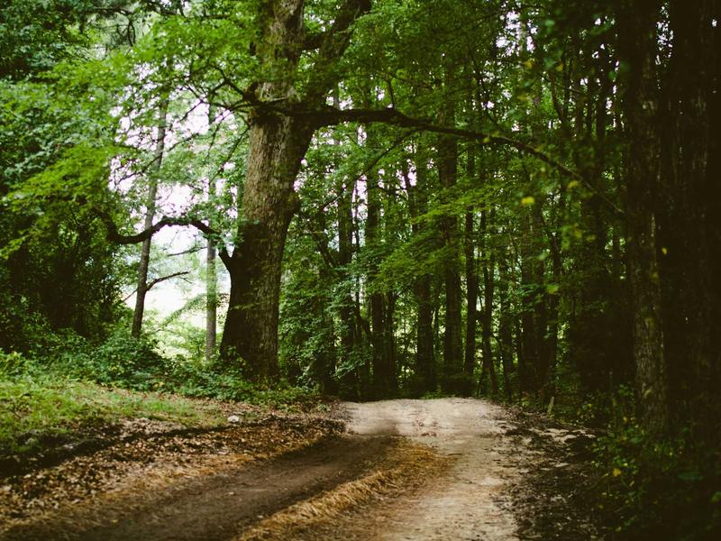 feedback screenshot 1