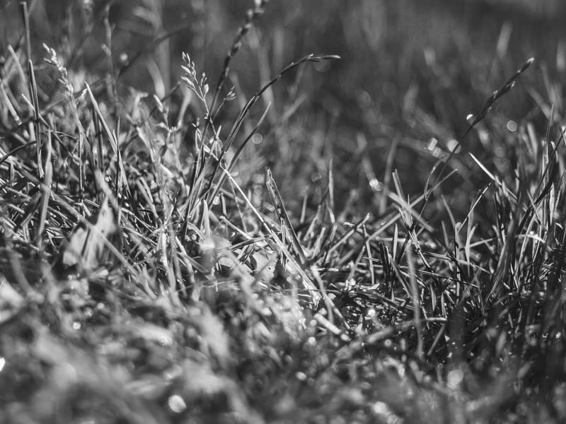 sudoku modern design screenshot 5