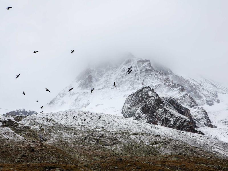 sudoku modern design screenshot 1